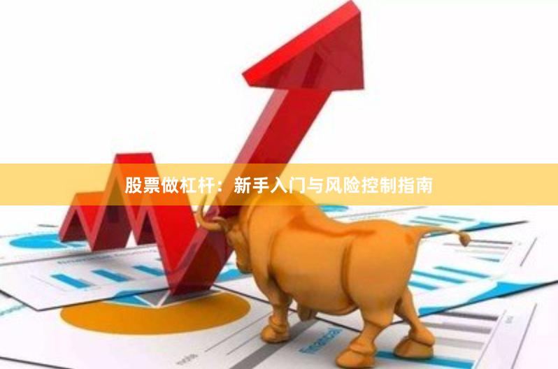 股票做杠杆：新手入门与风险控制指南